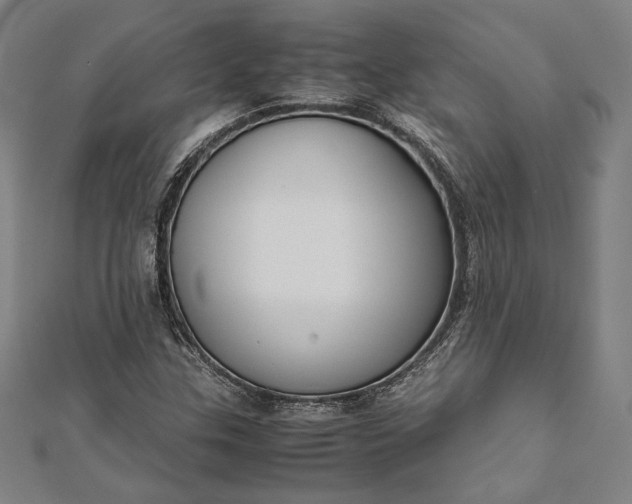 X0000112171307200908211417