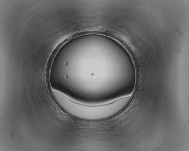 X0000112171308200908211417