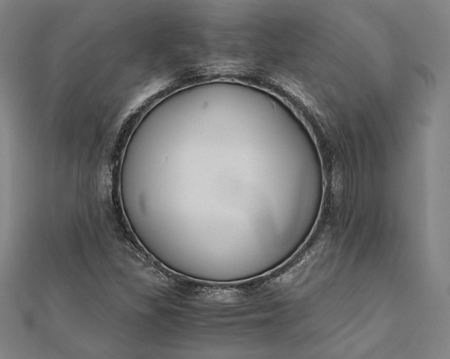 X0000112171309200908211417