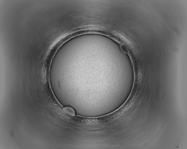 X0000112171310200908211417