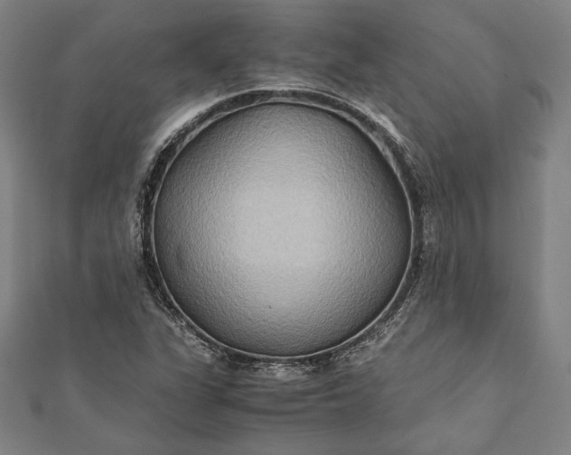 X0000112171311200908211417