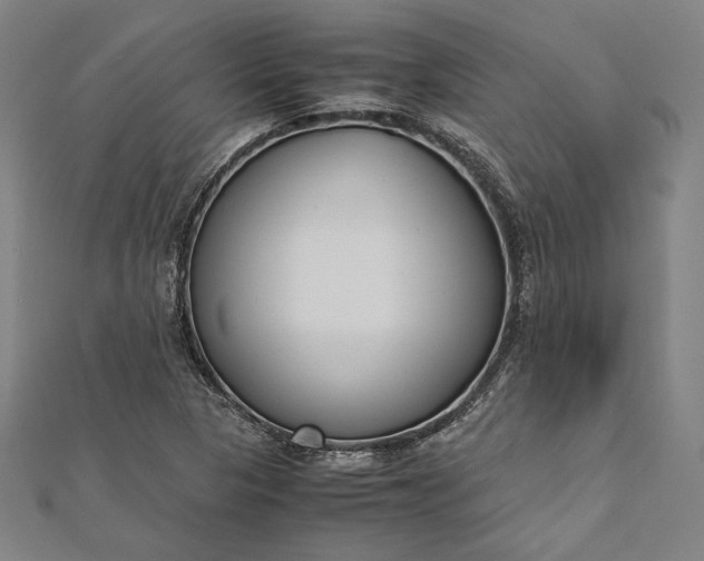 X0000112171313200908211417