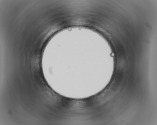 X0000112171314200908211417