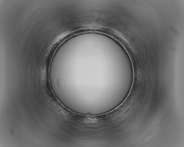 X0000112171315200908211417