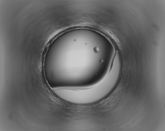 X0000112171316200908211417