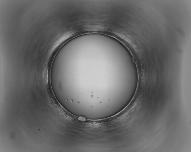 X0000112171317200908211417