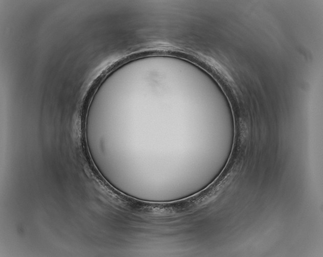 X0000112171318200908211417