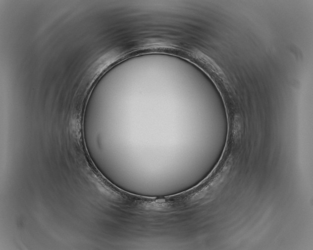 X0000112171321200908211417