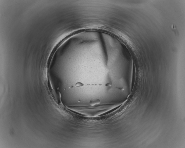 X0000112171324200908211417