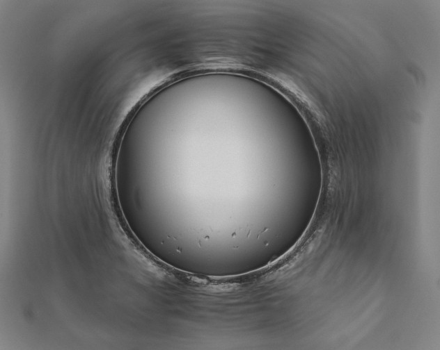 X0000112171325200908211417