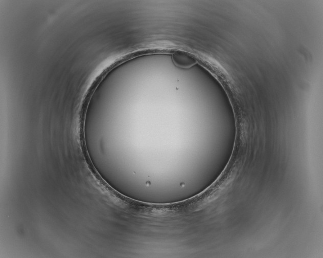 X0000112171326200908211417