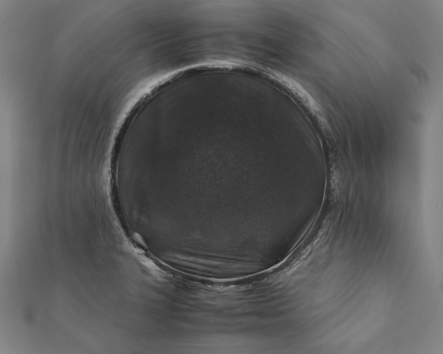 X0000112171327200908211418