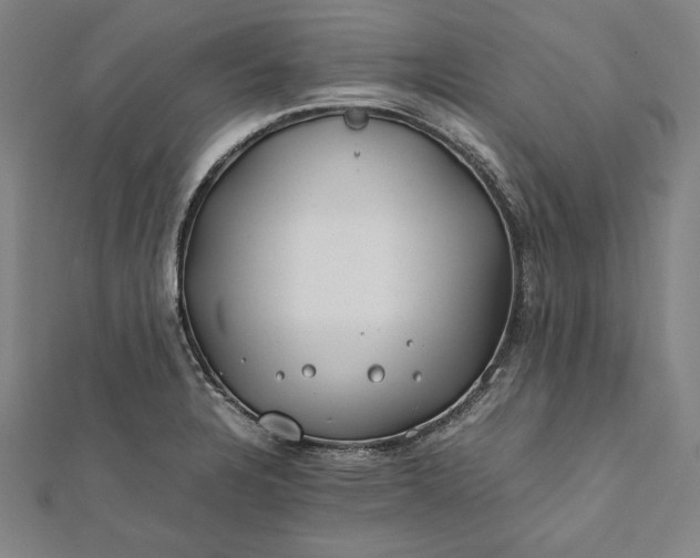 X0000112171328200908211418