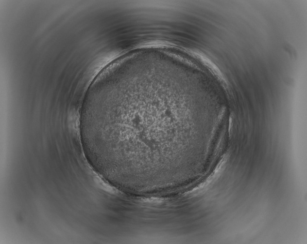 X0000112171329200908211418