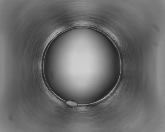 X0000112171330200908211418