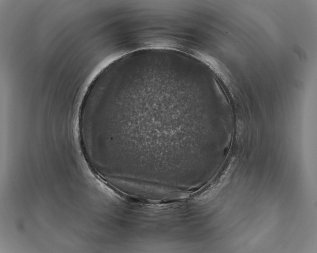 X0000112171331200908211418