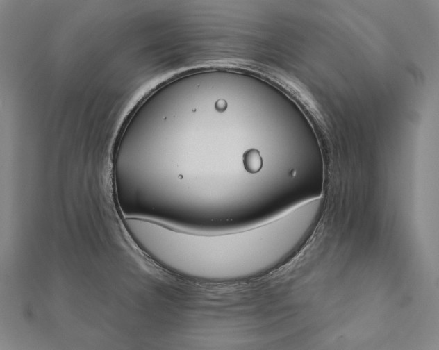 X0000112171332200908211418