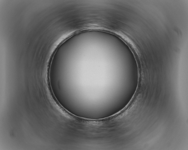 X0000112171333200908211418