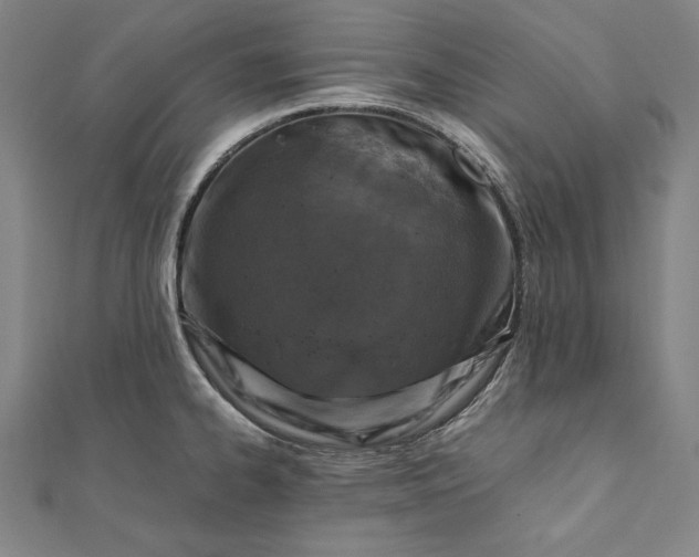 X0000112171334200908211418