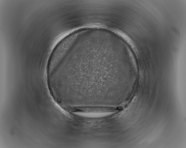 X0000112171335200908211418