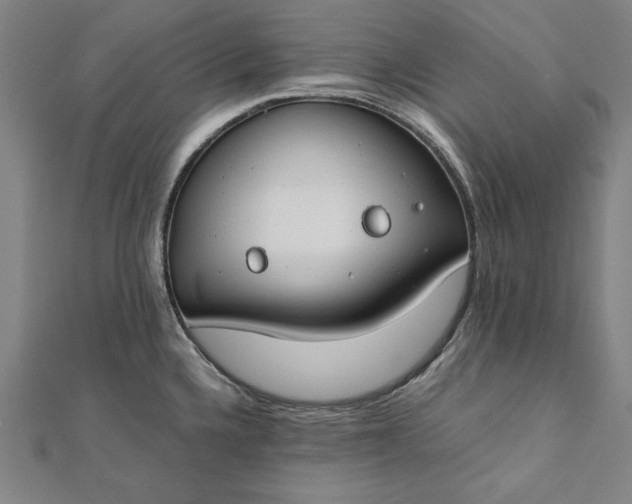 X0000112171336200908211418