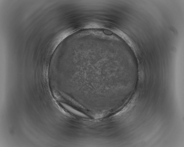 X0000112171337200908211418