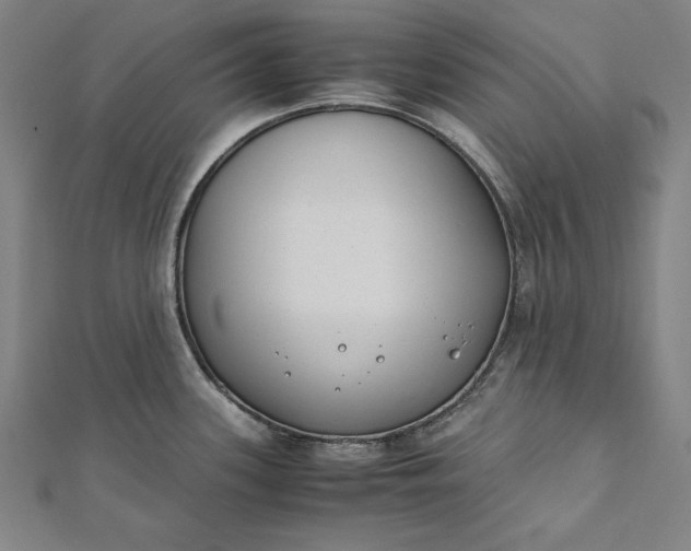 X0000112171339200908211418