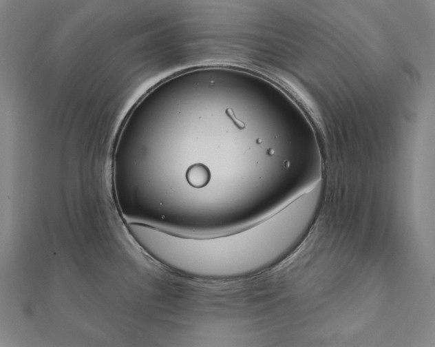 X0000112171340200908211418