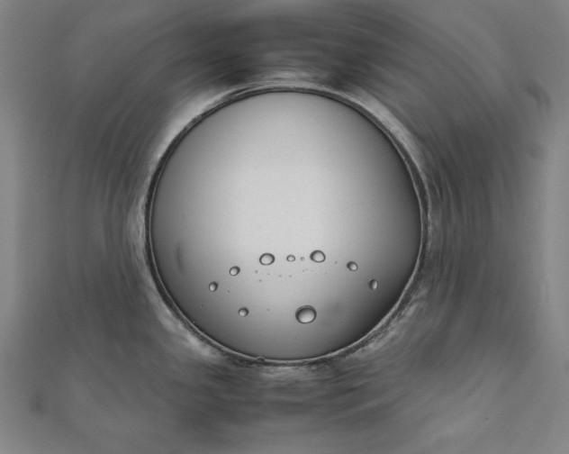 X0000112171341200908211418