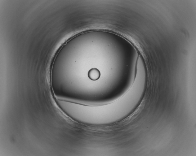 X0000112171342200908211418