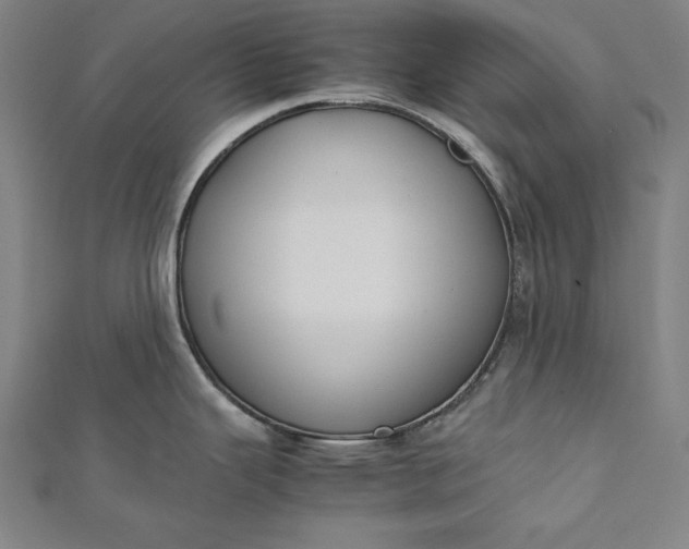 X0000112171343200908211418