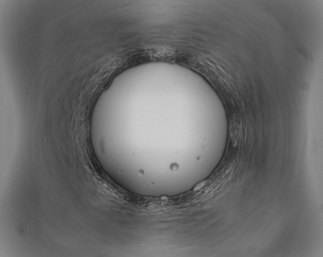 X0000112171345200908211417