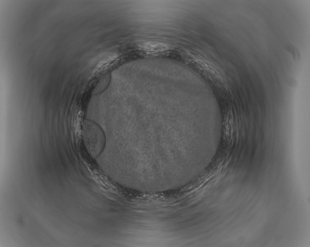 X0000112171346200908211417