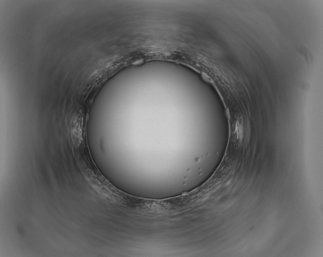 X0000112171348200908211417