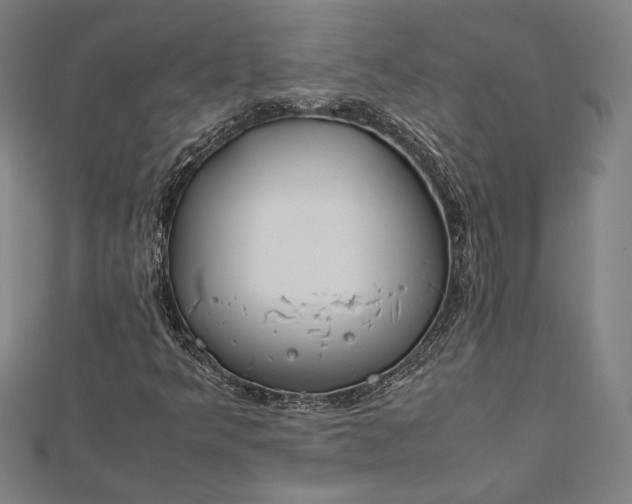 X0000112171349200908211417