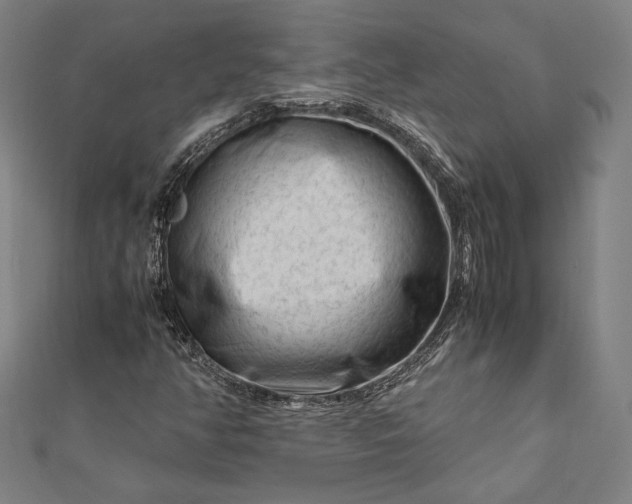 X0000112171350200908211417