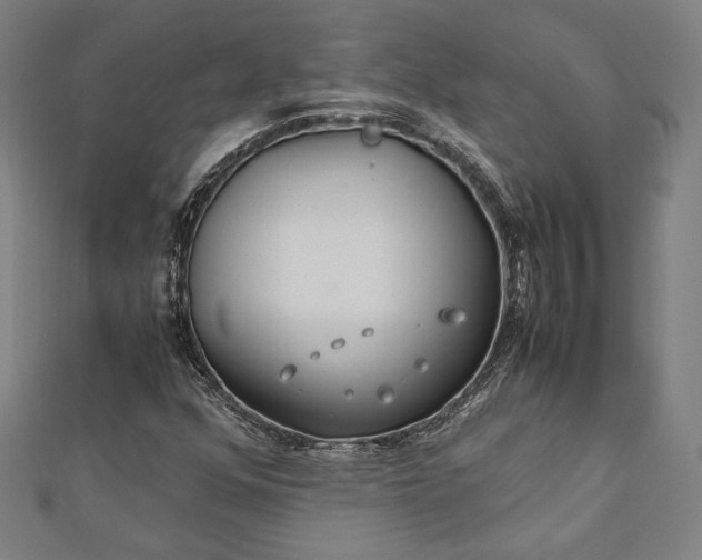 X0000112171352200908211417