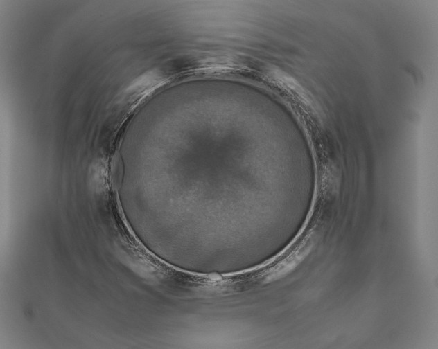 X0000112171353200908211417