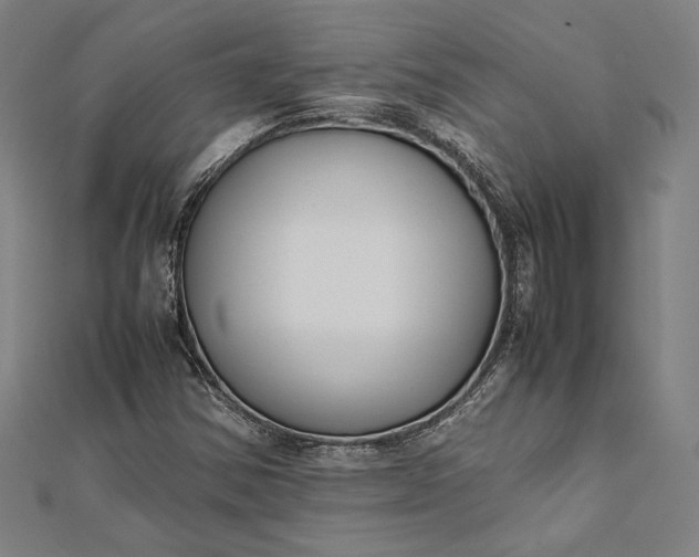 X0000112171354200908211417