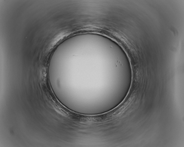 X0000112171355200908211417