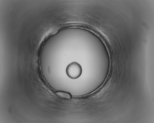 X0000112171357200908211417