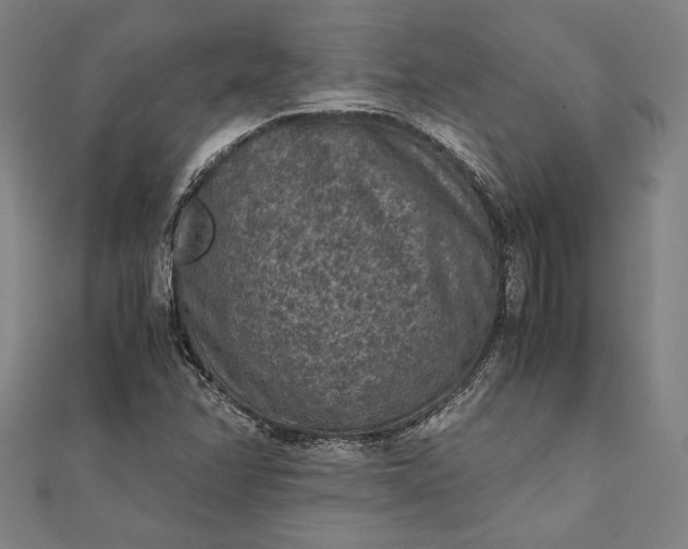 X0000112171358200908211417