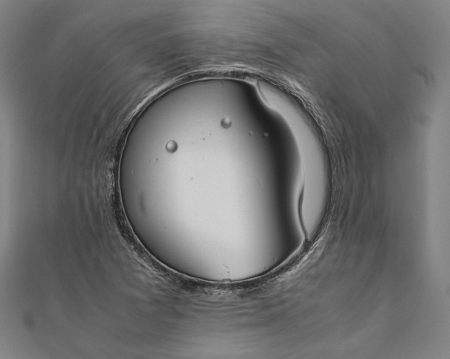 X0000112171361200908211417