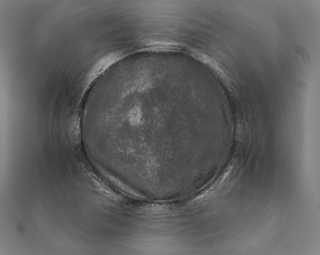 X0000112171362200908211417