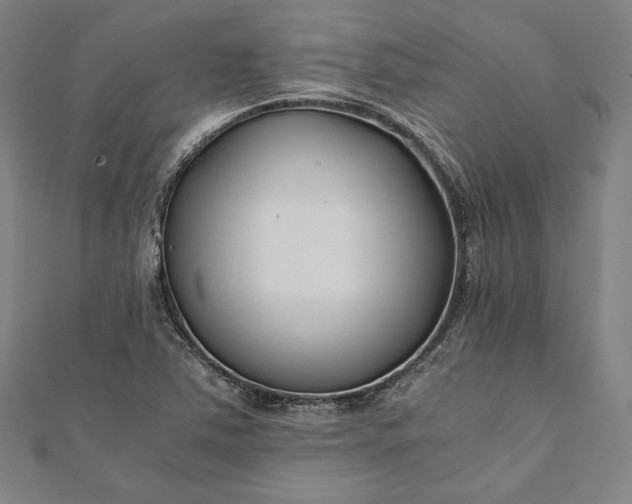 X0000112171363200908211417