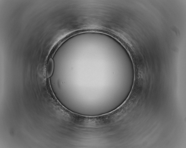 X0000112171364200908211417