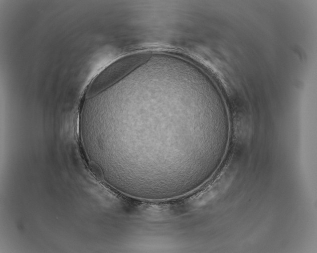 X0000112171365200908211417