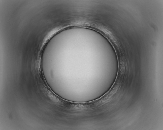 X0000112171366200908211417