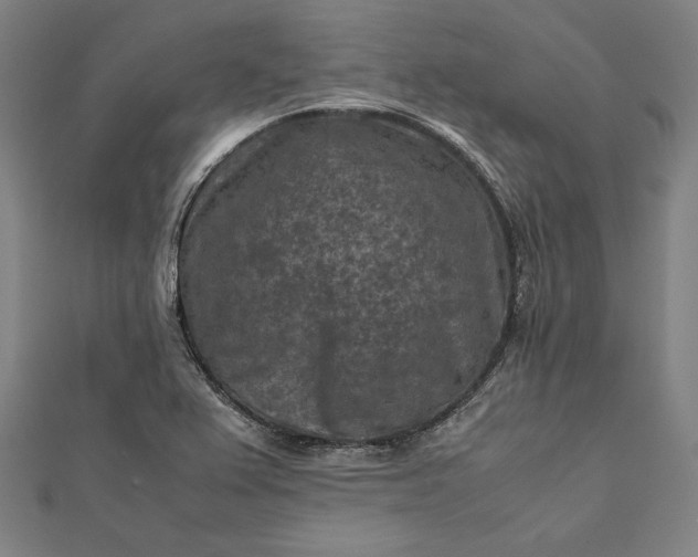 X0000112171367200908211417