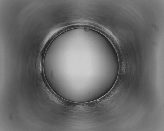 X0000112171368200908211417